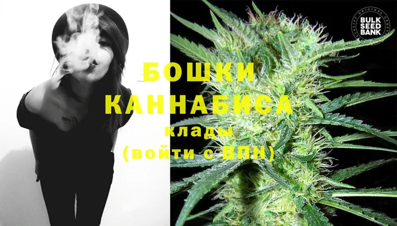 Марихуана SATIVA & INDICA  Поворино 